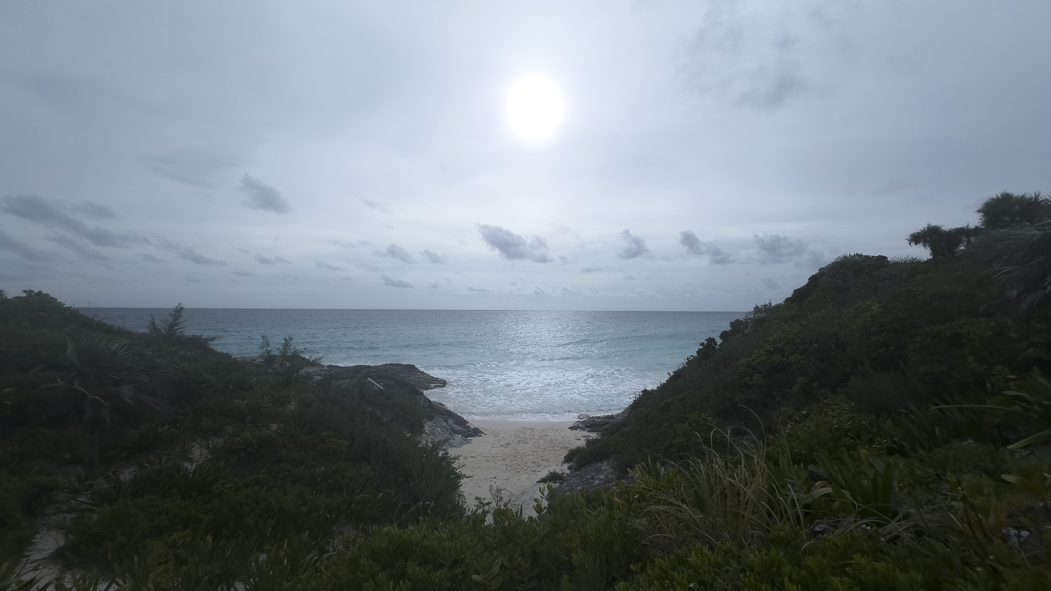 A Small Cove in Eleuthera, The
          Bahamas